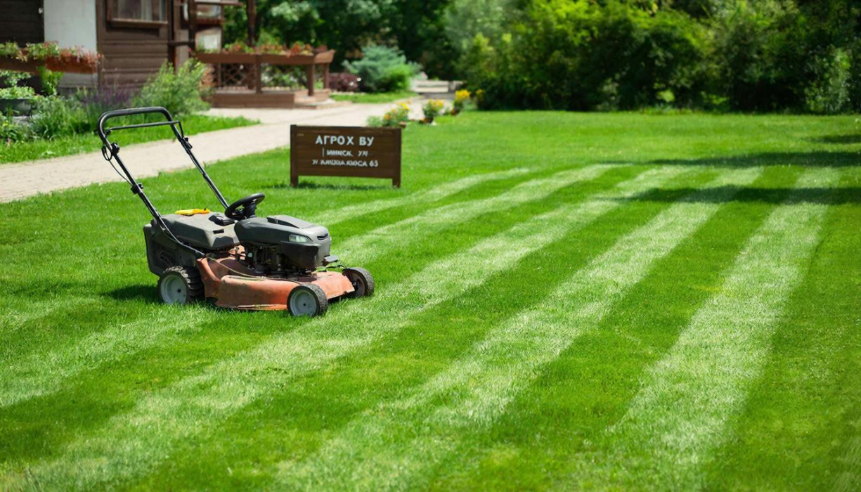 Газонокосилки: как выбрать и купить идеальную для вашего участка