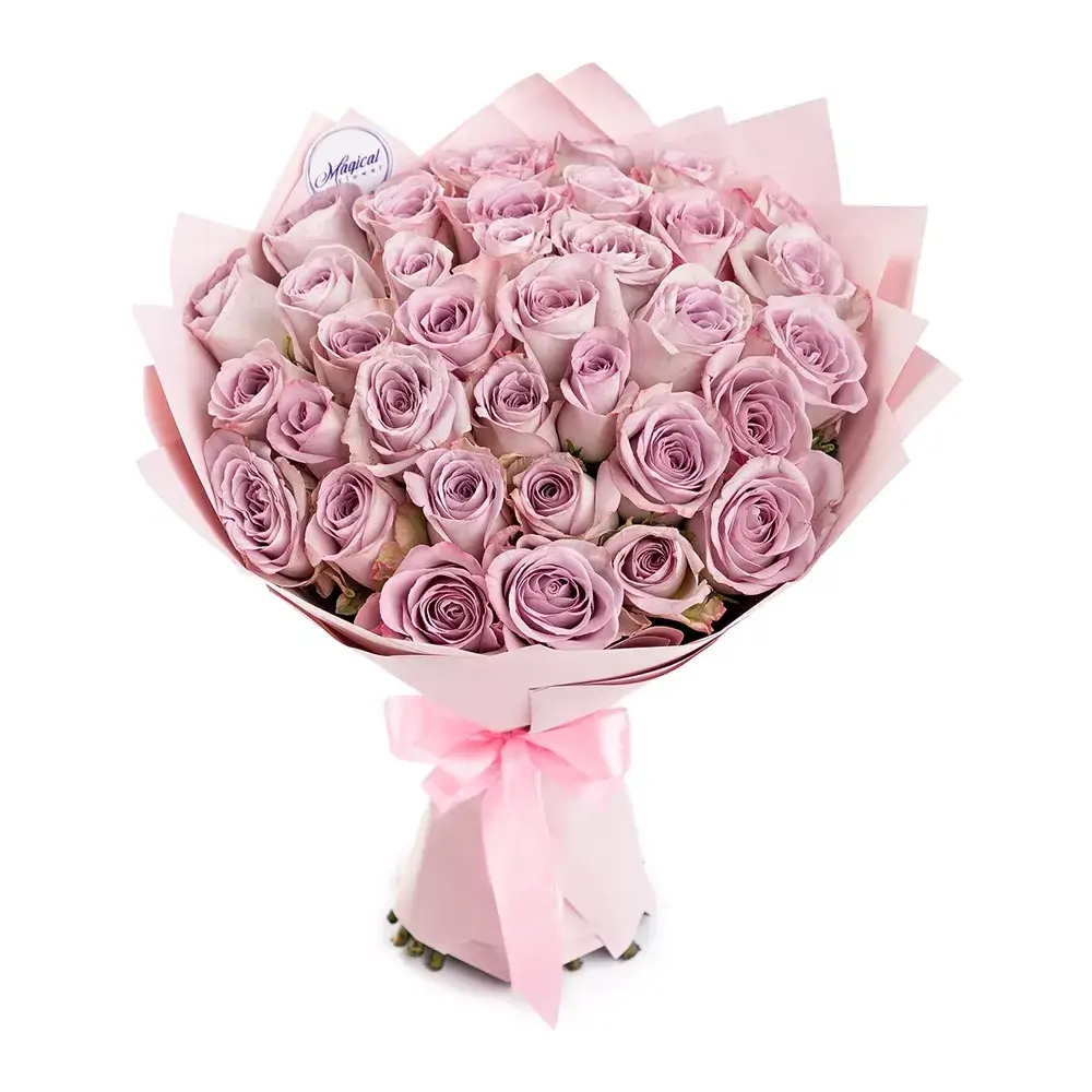 img4325-1000x1000.webp